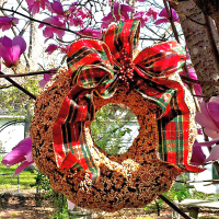 Edible Birdseed Wreaths, Birdhouses, Ornaments